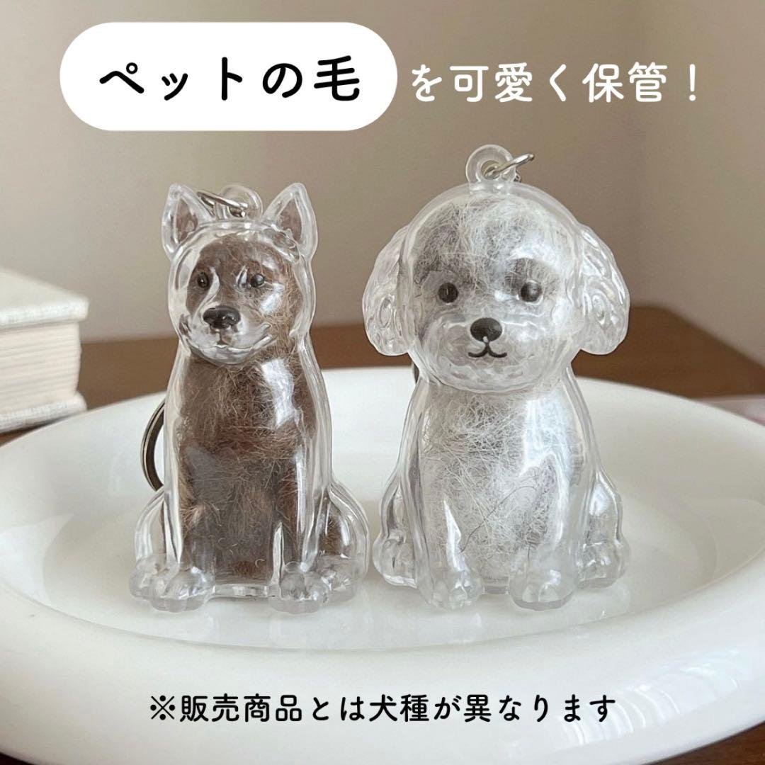Clear Keychain for Pet Hair, Shiba Inu Dog Hair, Storage Bottle, Memorial, Fur Ball